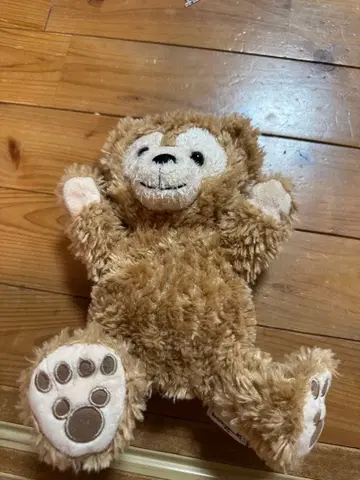 브라운 곰 모양 봉제 인형