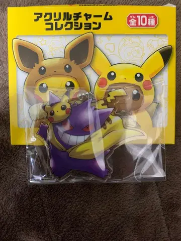 포켓몬 팬텀 아크릴 참 컬렉션 피카츄 이브이 판초