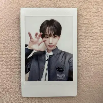 일프 신세계 마츠다 타이카 폴라로이드