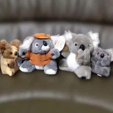코알라 봉제 인형 4개 세트