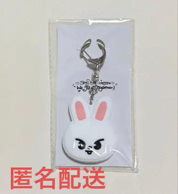 StrayKids Exhibition 키 커버 리비트 리노