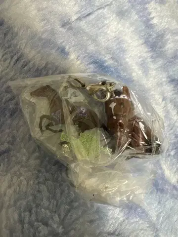 아이돌 호스 미니 컬렉션 vol.35 두두스 아사히배 FS