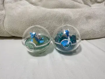 포켓몬스터 테라리움 컬렉션