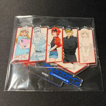 일하는 세포 x 아사히 프로틴 영수증 응모 캠페인 당선품 A상