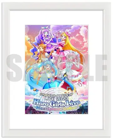 히로가루 스카이! 프리큐어 캐릭터 파인 그래픽 큐어 스카이 큐어 프리즘