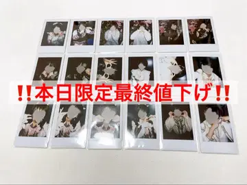 러브시크 태양 핑 폴라로이드 세트