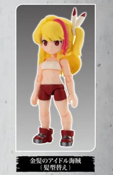 링크 트래블러스 ~대해원 대결전! 편 금발의 아이돌 해적