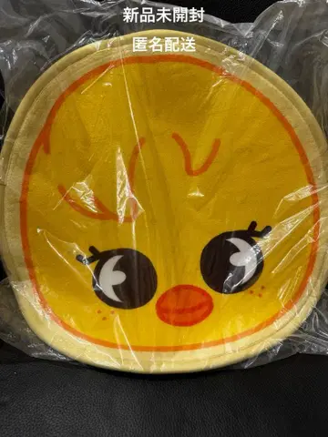 StrayKids SKZOO 미니 카펫 Felix 포가리 BbokAri