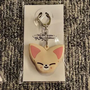 스키즈 전시회 키 커버 아이엔 폭시니