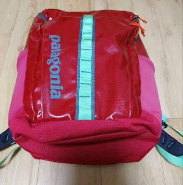 patagonia 파타고니아 백팩 핑크 희귀 레어 25L