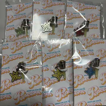 ARASHI LIVE TOUR Popcorn 이어폰 잭 6종