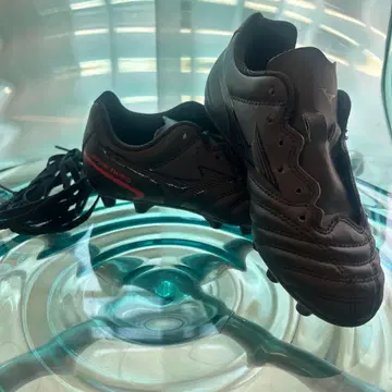 19cm 스파이크 미즈노 MONARCIDA neo