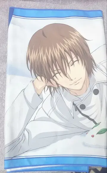 테니프리스트 타월 후지 슈스케