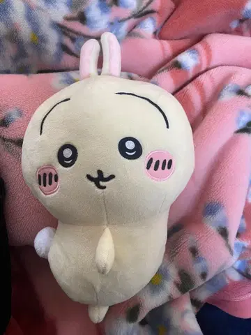 치이카와 토끼 봉제 인형