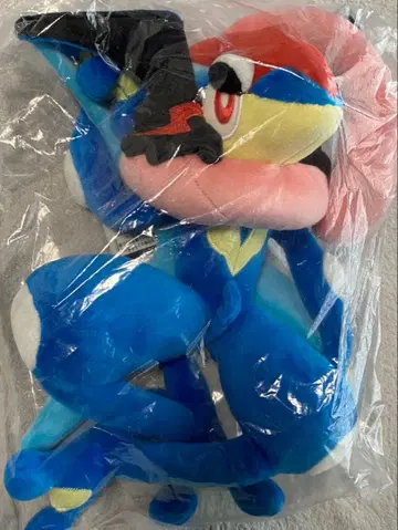 포켓몬 지우개굴닌자 봉제 인형 포켓몬 센터