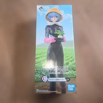 제일복권 에반게리온 아야나미 레이(가칭) 피규어