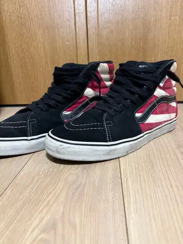 VANS x Christian Hosoi 라이징선 SK8-Hi