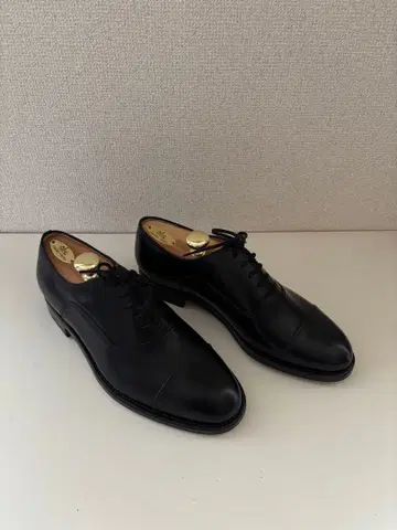 타니노 크리스치 스트레이트 팁