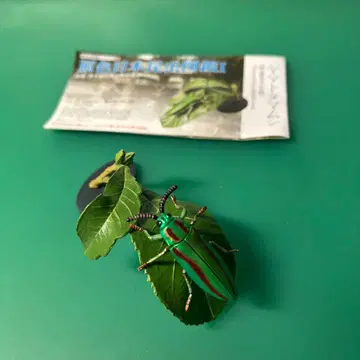 원색도감 시리즈 15 원색 일본 곤충도감 I 야마토타마무시