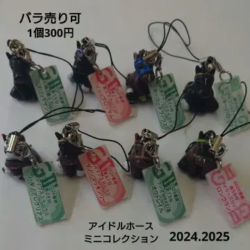 아이돌 호스 미니 컬렉션 2024년 2025년 묶음 판매