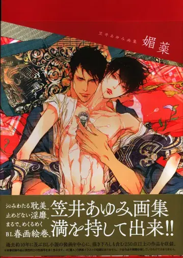 파이 인터내셔널 카사이 아유미 카사이 아유미 화집 최음제 (오비 포함)