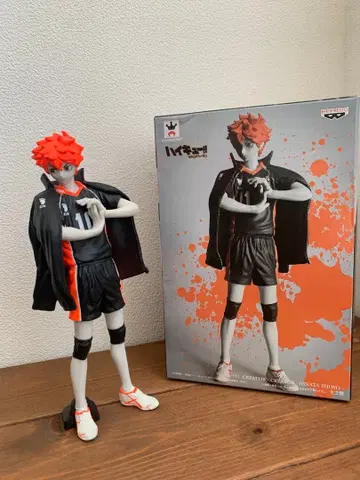 하이큐!! 히나타 쇼요 배구 피규어 조형사 x 포토그래퍼