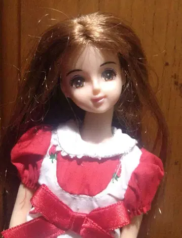 제니 인형 옷 갈아입히기 인형 리카짱