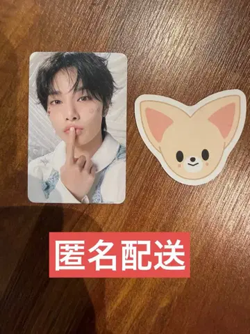 straykids 스키즈 팬미팅 3/28 입장 혜택 아이엔