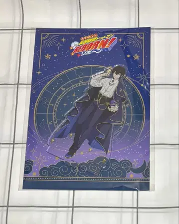 가정교사 히트맨 REBORN! 리본 히바리 쿄야 아크릴 스탠드