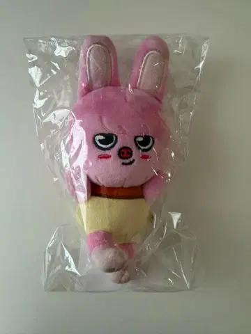 스키즈 창빈 백참 푸딩 dwaekki