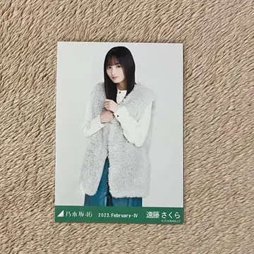 노기자카46 엔도 사쿠라 퍼 베스트 브로마이드 츄