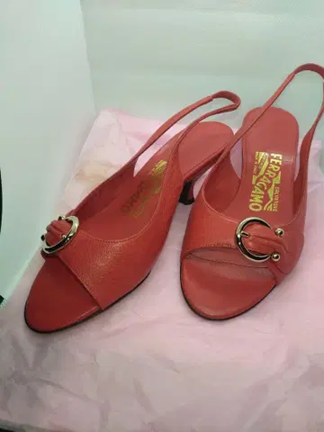 페라가모 코랄 펌프스 3.5 (21cm)