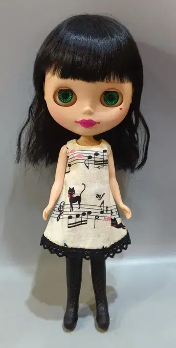 네오 브라이스 커스텀 브라이스