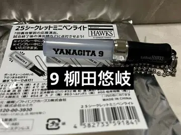 9 야나기타 유키 미니 응원봉