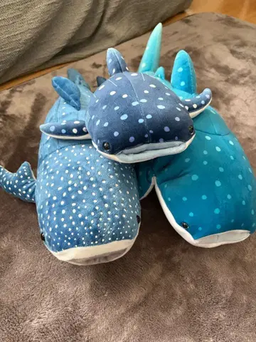고래상어 봉제 인형 카이유칸