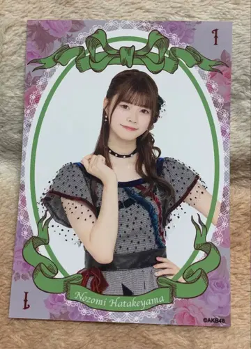 AKB48 하타야마 노조미 브로마이드