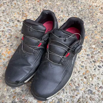 브릿지스톤 골프 신발 25cm