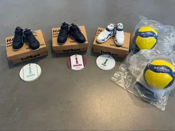 하이큐! 미니어처 신발 컬렉션 vol.2 아오네, 우시지마, 오이카와