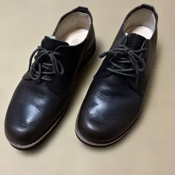 코토카 아시나리 더비 남성용/다쓰노 가죽/초콜릿(사이즈 26cm)