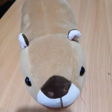카피바라 봉제 인형
