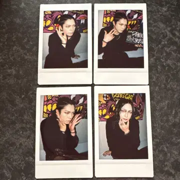 아루루캉 쇼헤이 라이토 폴라로이드