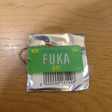 번호판풍 아크릴 키링 토이 카나데