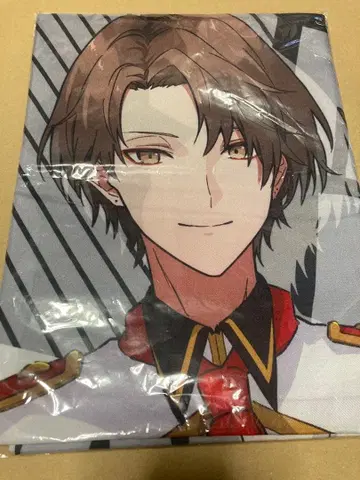 니지산지 카가미 하야토 코코스 등신대 패널