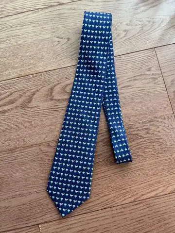 Salvatore Ferragamo 넥타이