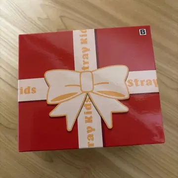 SKZOO BIRTHDAY CAKE 컬렉션 vol.4 FoxI.Ny