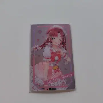 니지산지 베리탄 메탈 카드