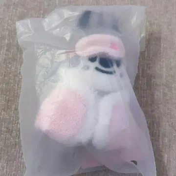 stray kids 팬미팅 SKZOO 10cm 봉제 인형 방찬