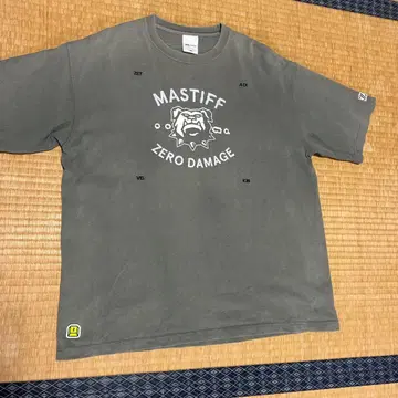 ZETA DIVISION t셔츠