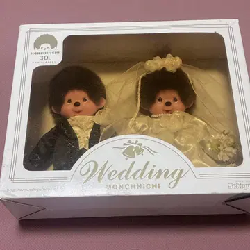 몽치치 웨딩 인형 30주년 기념