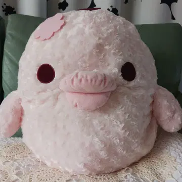 프리미엄 키이로이토리